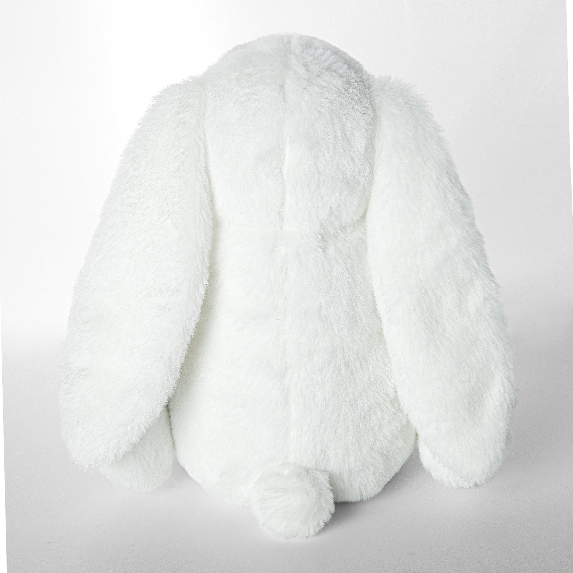 filename-20250707155412-1c6b3Uj5yB