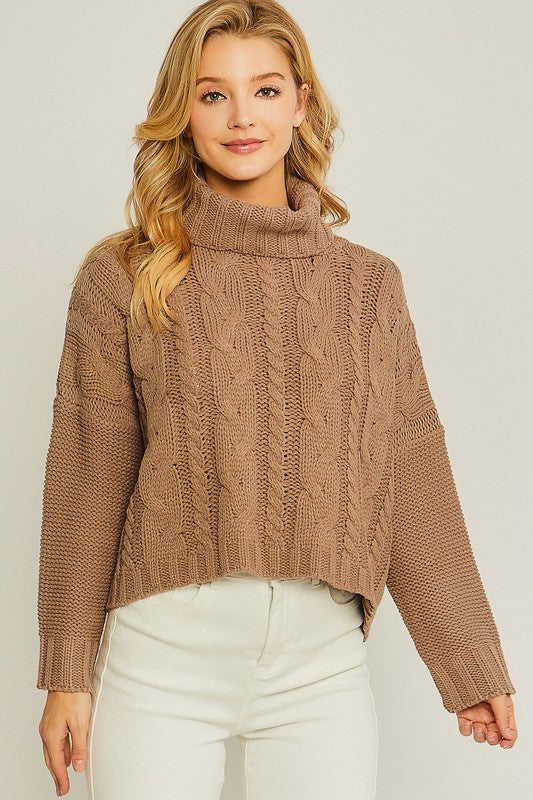 Tops: Turtle Neck Sweater